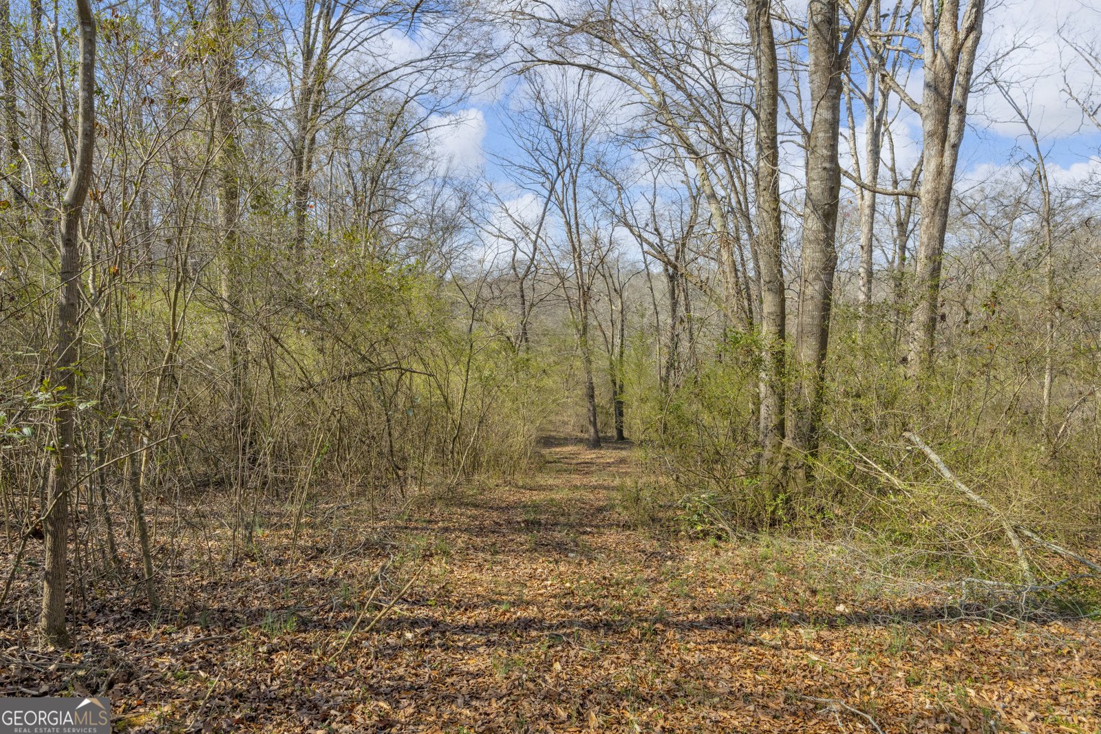 5354 Highway 29 Royston - Photo 42