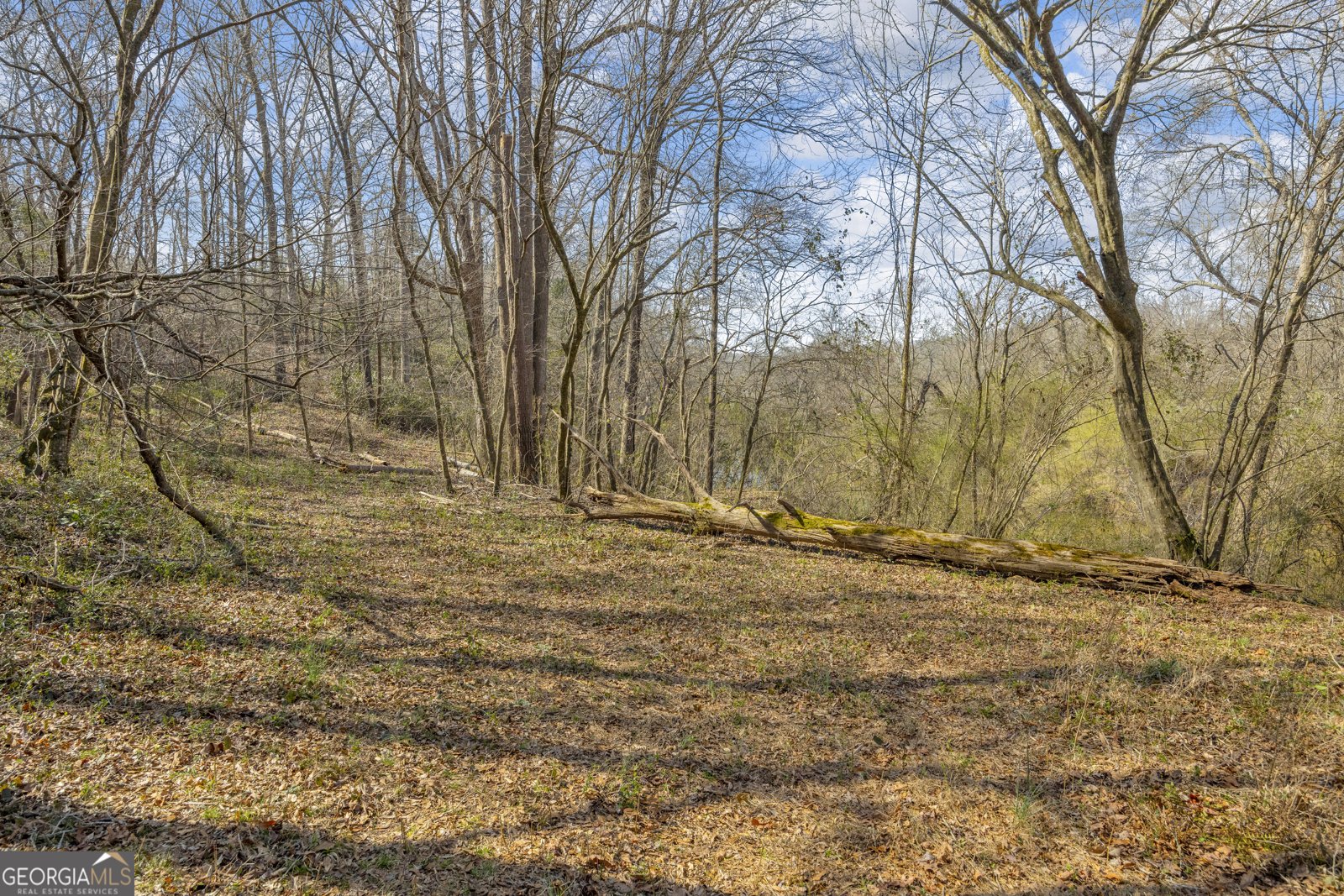 5354 Highway 29 Royston - Photo 43