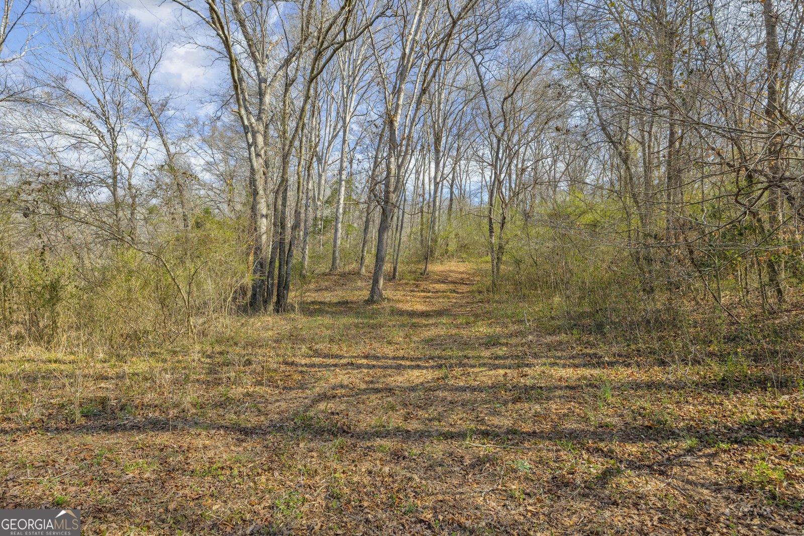 5354 Highway 29 Royston - Photo 45