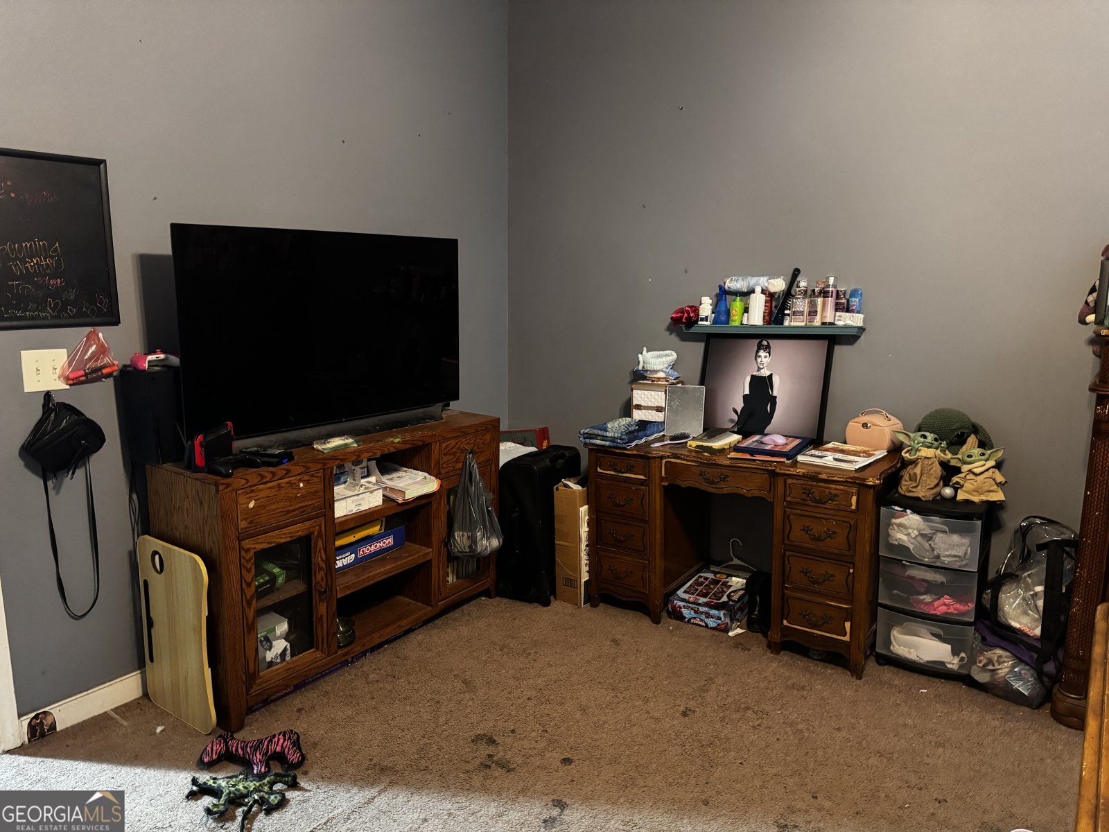 95 Dooley Street Hawkinsville - Photo 8