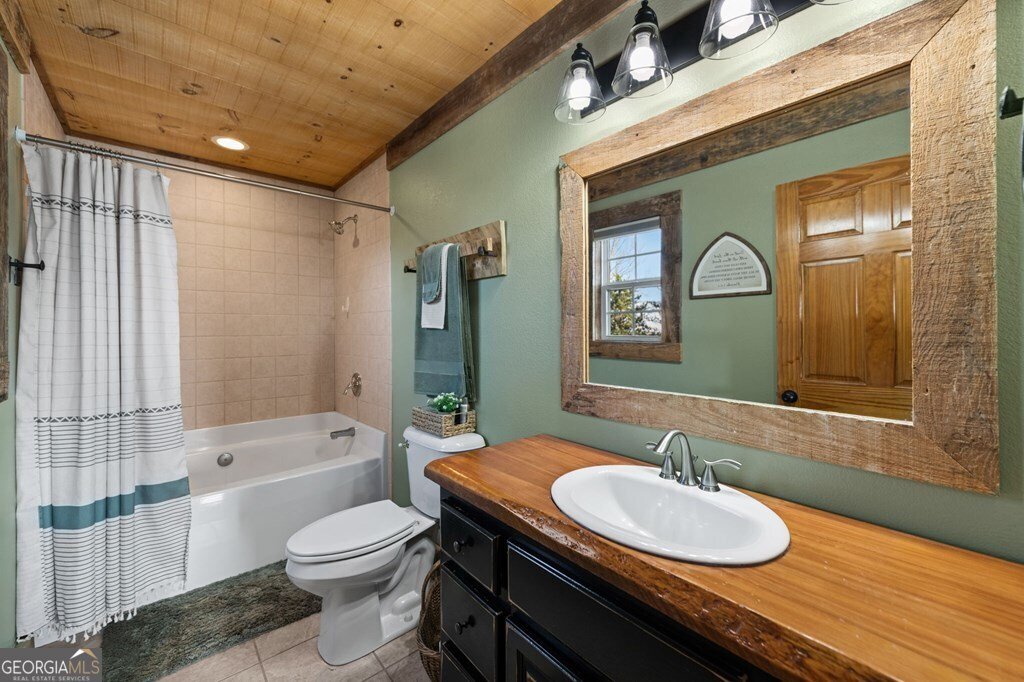 196 Williamstown Ridge Mineral Bluff - Photo 29