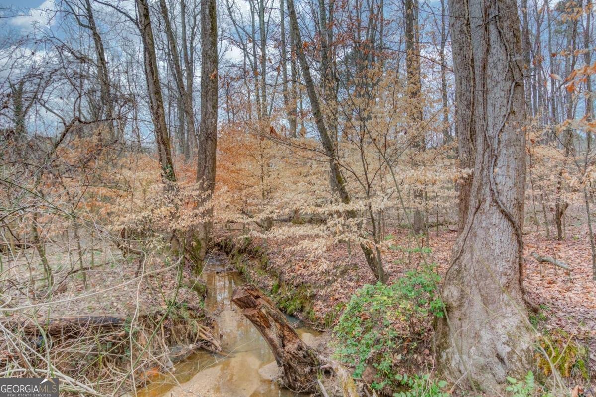 885 Long Branch Circle Sugar Hill - Photo 40