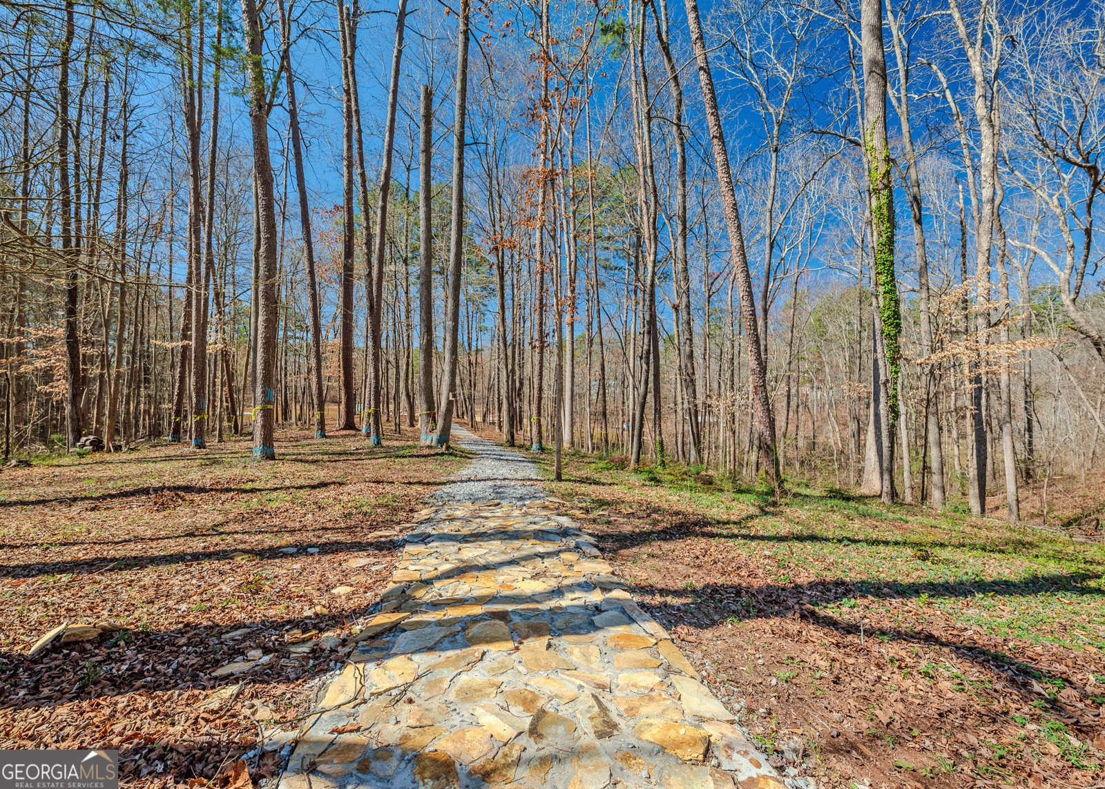 272 Lakeside Trail Martin - Photo 28