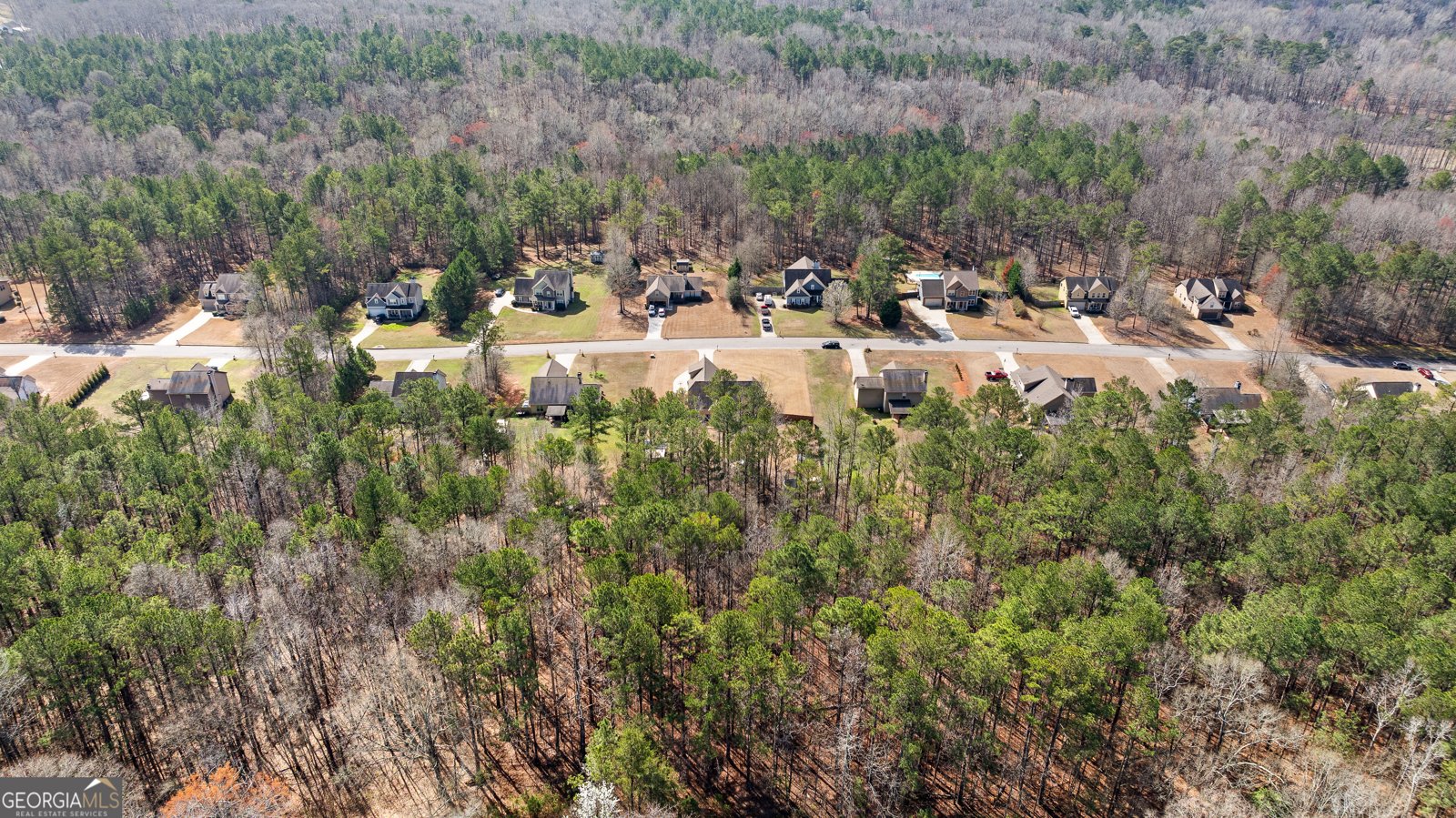 134 Hickory Hills Drive Newnan - Photo 42