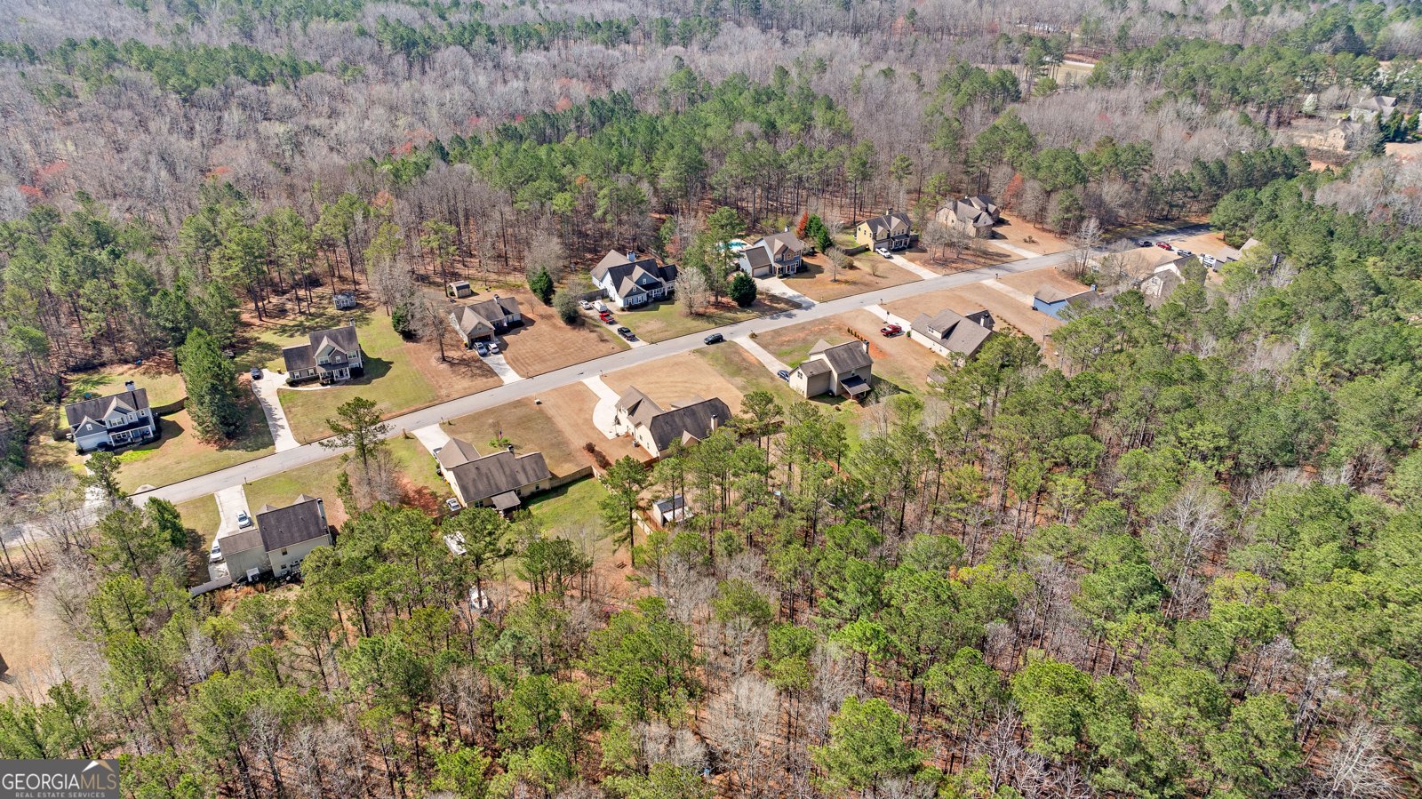 134 Hickory Hills Drive Newnan - Photo 43