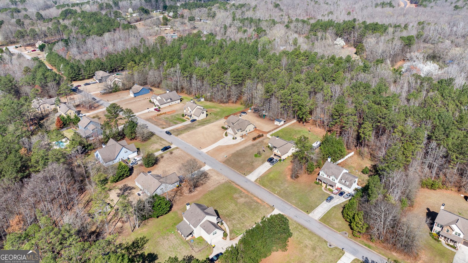 134 Hickory Hills Drive Newnan - Photo 46