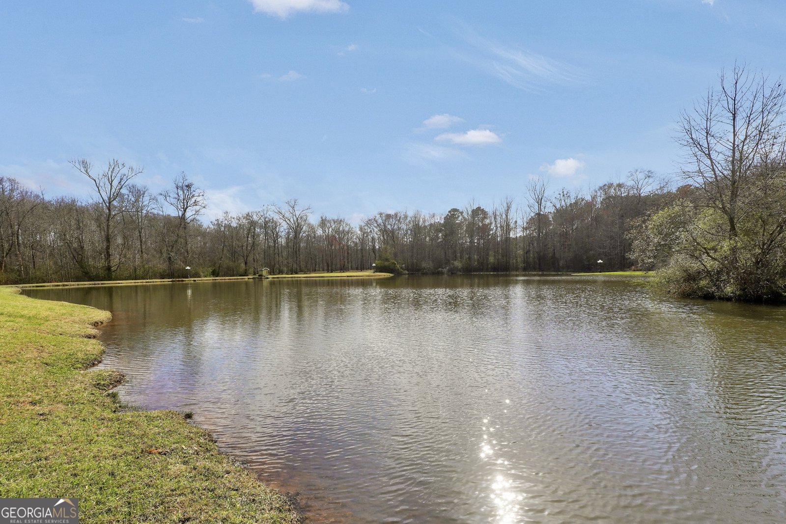 610 Elliott Road McDonough - Photo 86