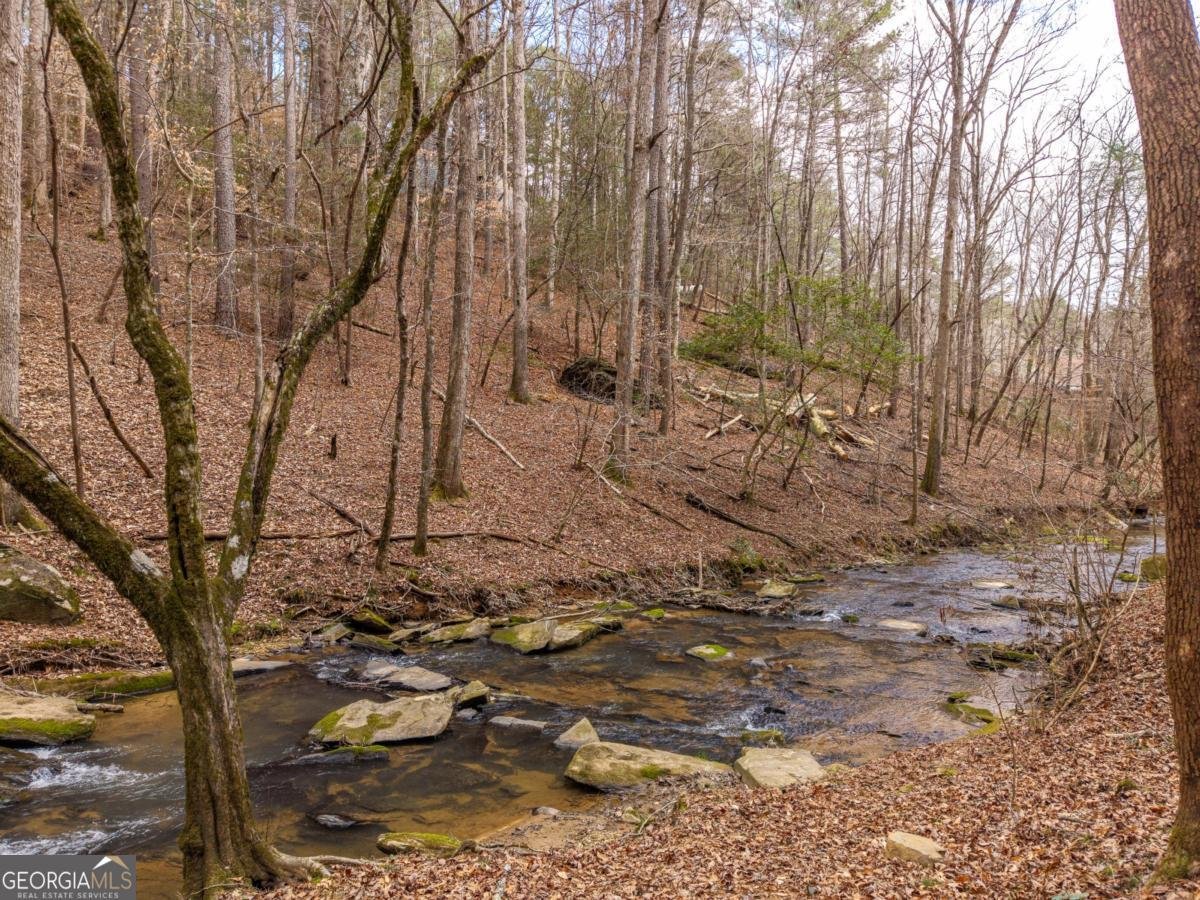 130 Clark Drive Ellijay - Photo 31