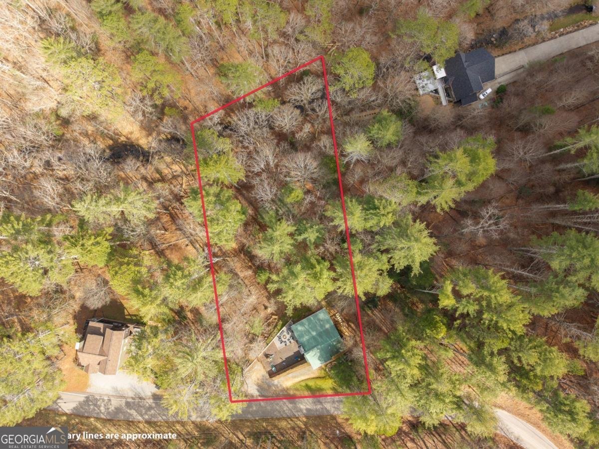 130 Clark Drive Ellijay - Photo 53