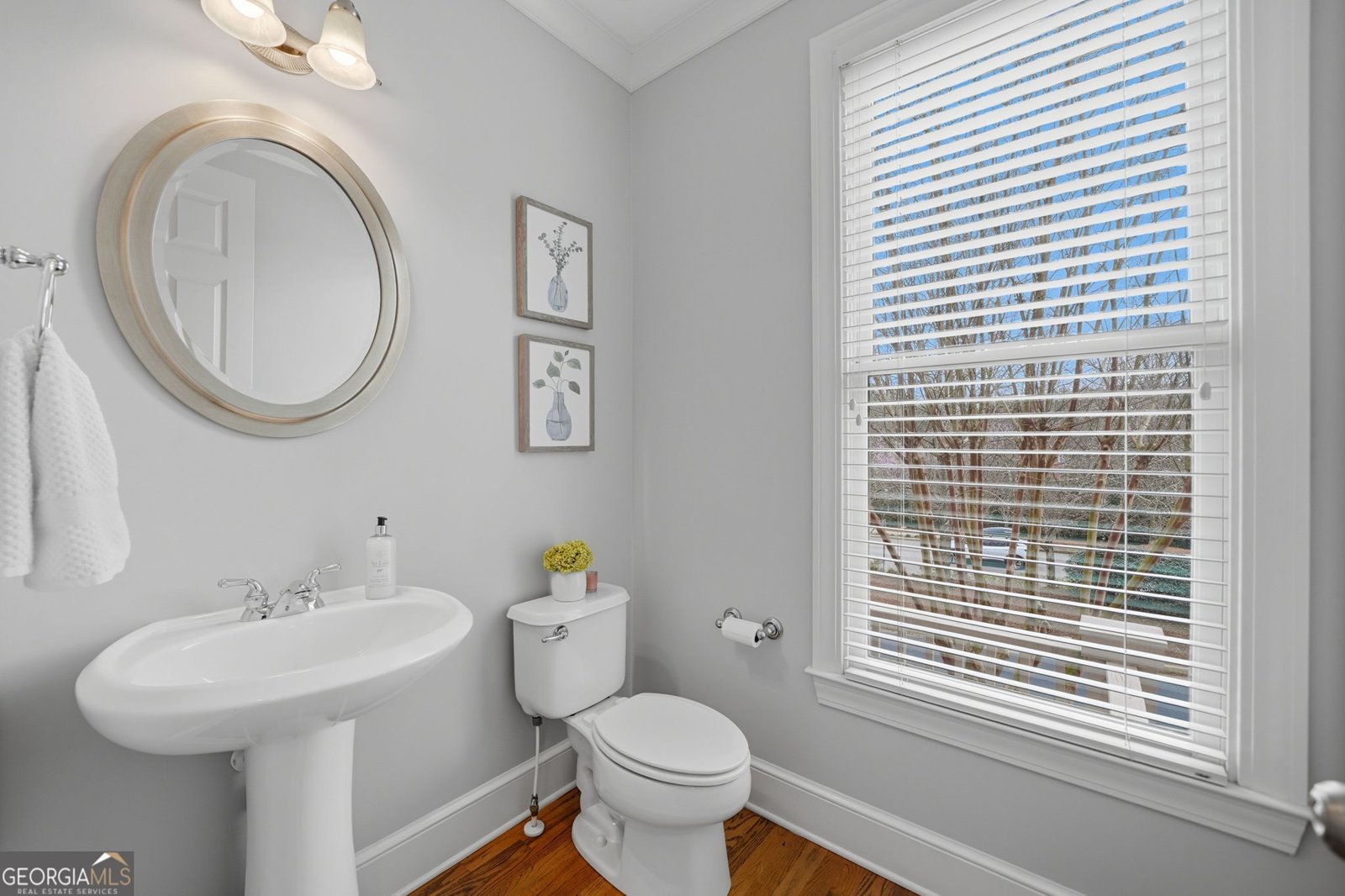 11231 Calypso Drive Alpharetta - Photo 22