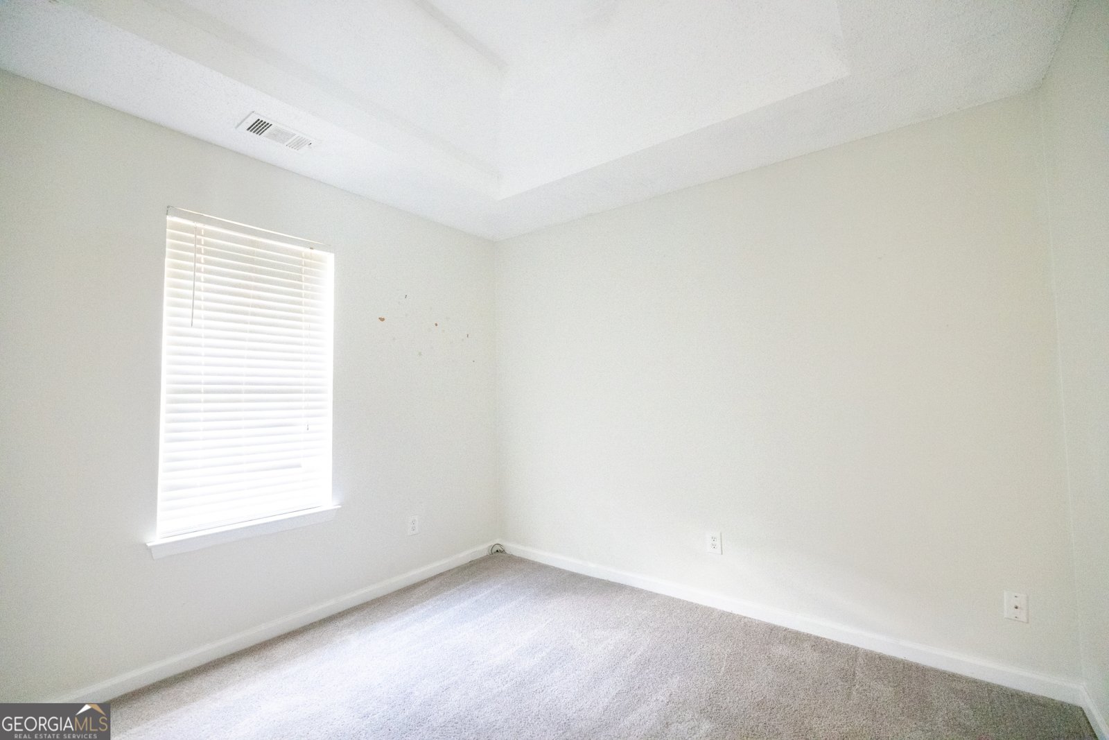 3635 Spring Mesa Drive Snellville - Photo 18