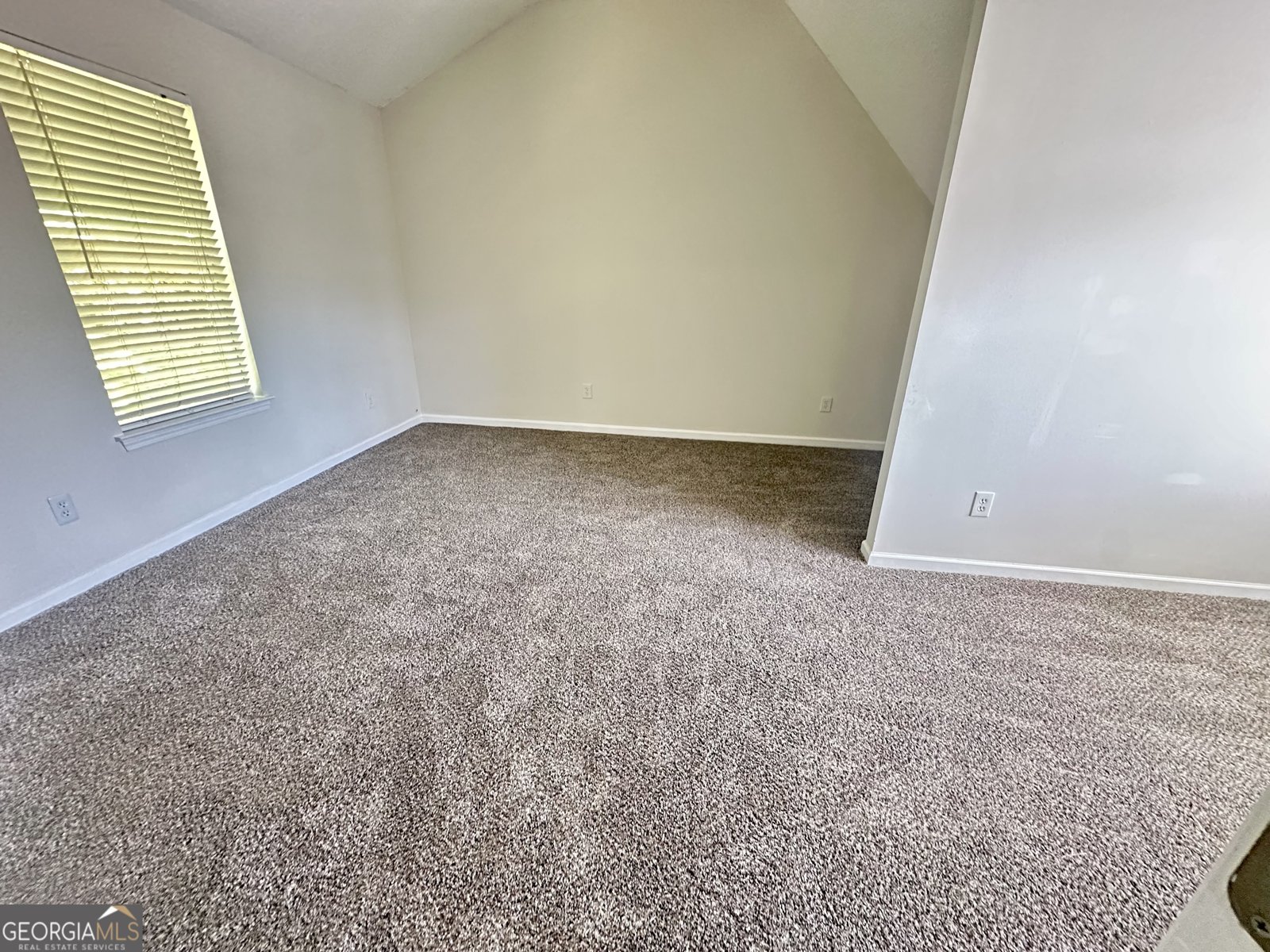 3635 Spring Mesa Drive Snellville - Photo 33