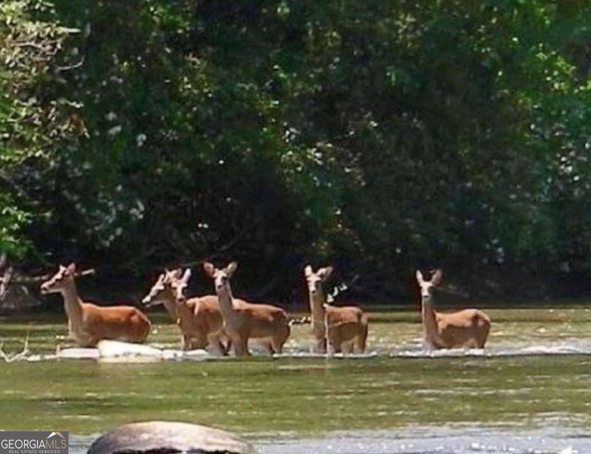 89 Tara Lane Ellijay - Photo 37