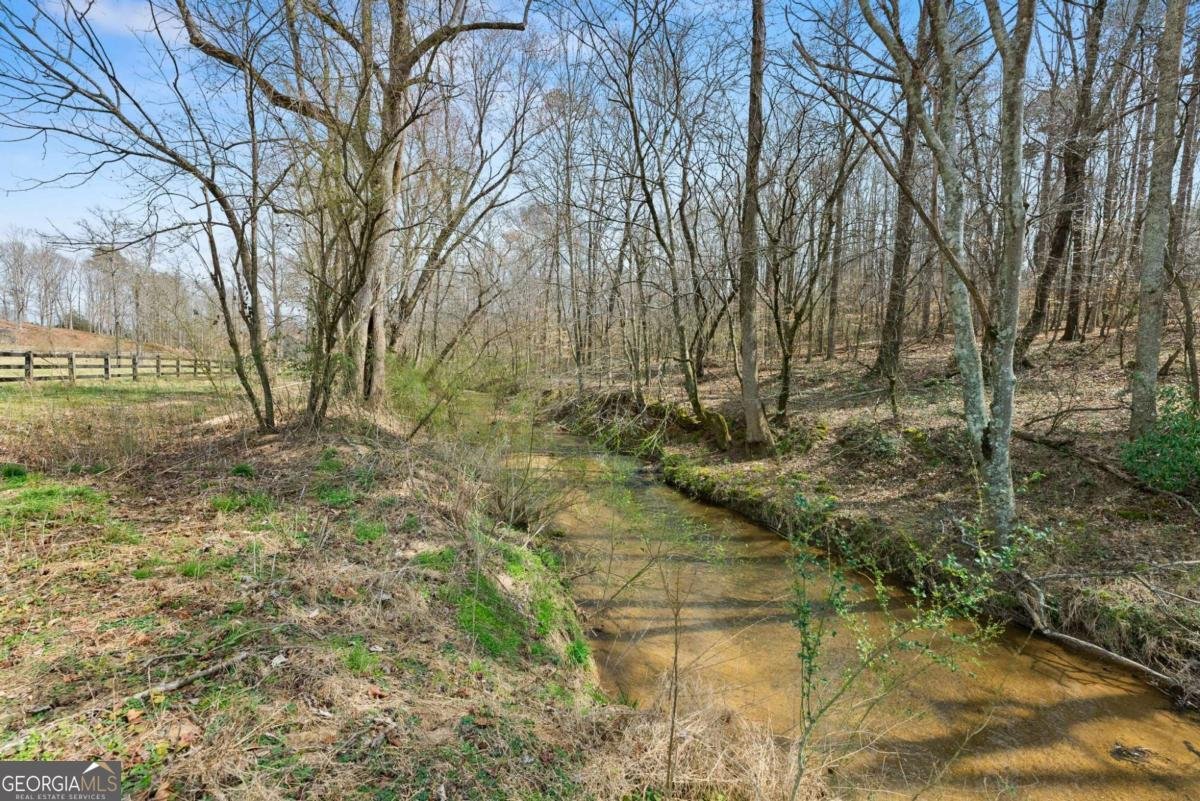 5825 Sweetbottom Lane Clermont - Photo 36