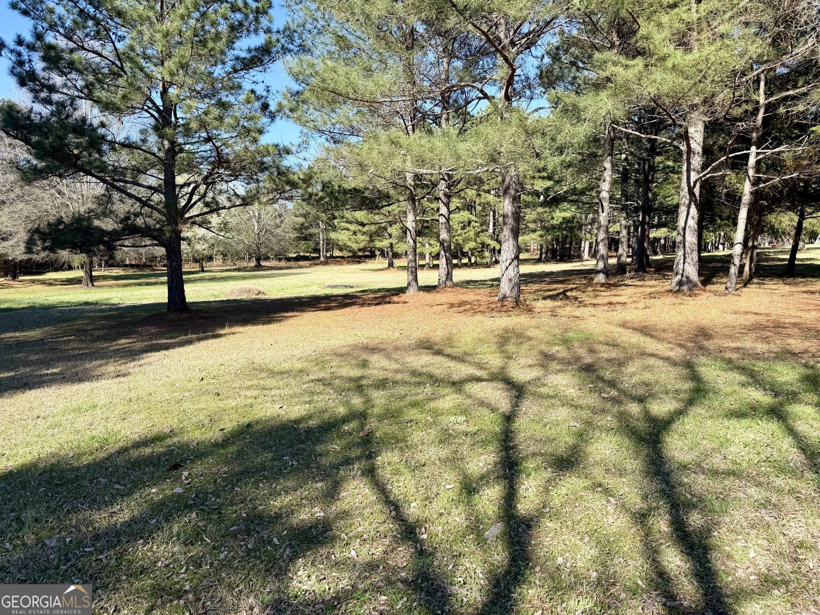 1697 Middleton Church Road Elberton - Photo 20