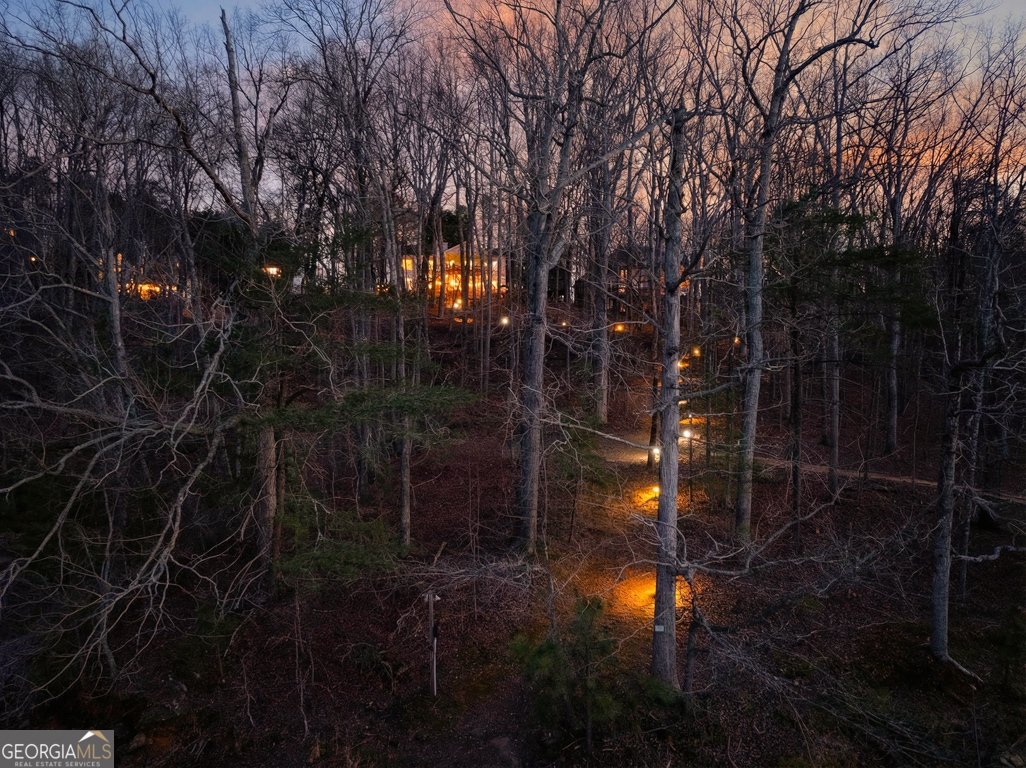 7223 Flowery Branch Road Cumming - Photo 120