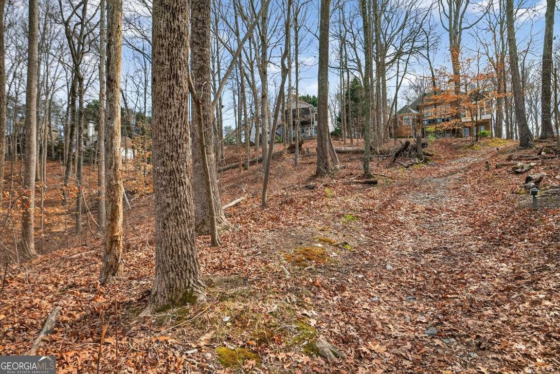 7223 Flowery Branch Road Cumming - Photo 75