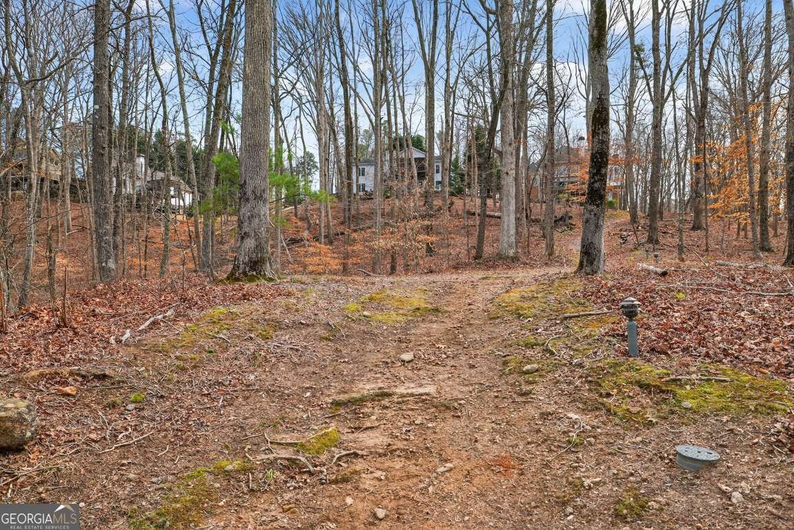 7223 Flowery Branch Road Cumming - Photo 82