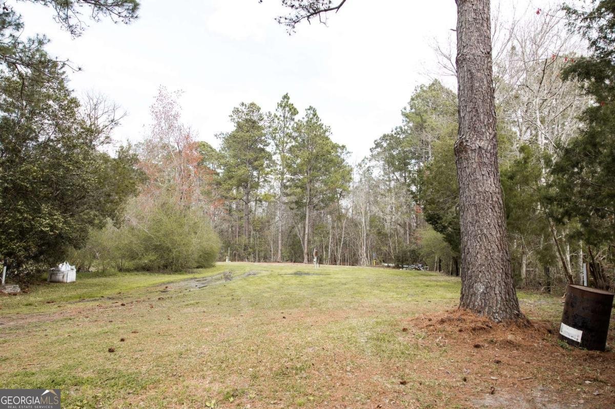 5720 Highway 21 Springfield - Photo 11