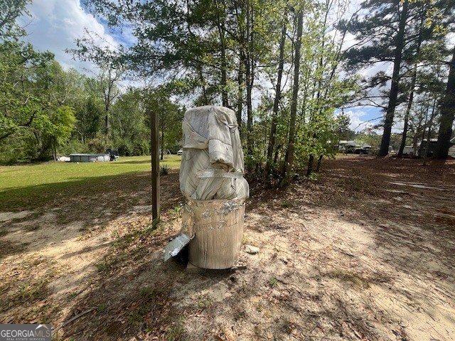 742 Halls Bridge Road Swainsboro - Photo 21