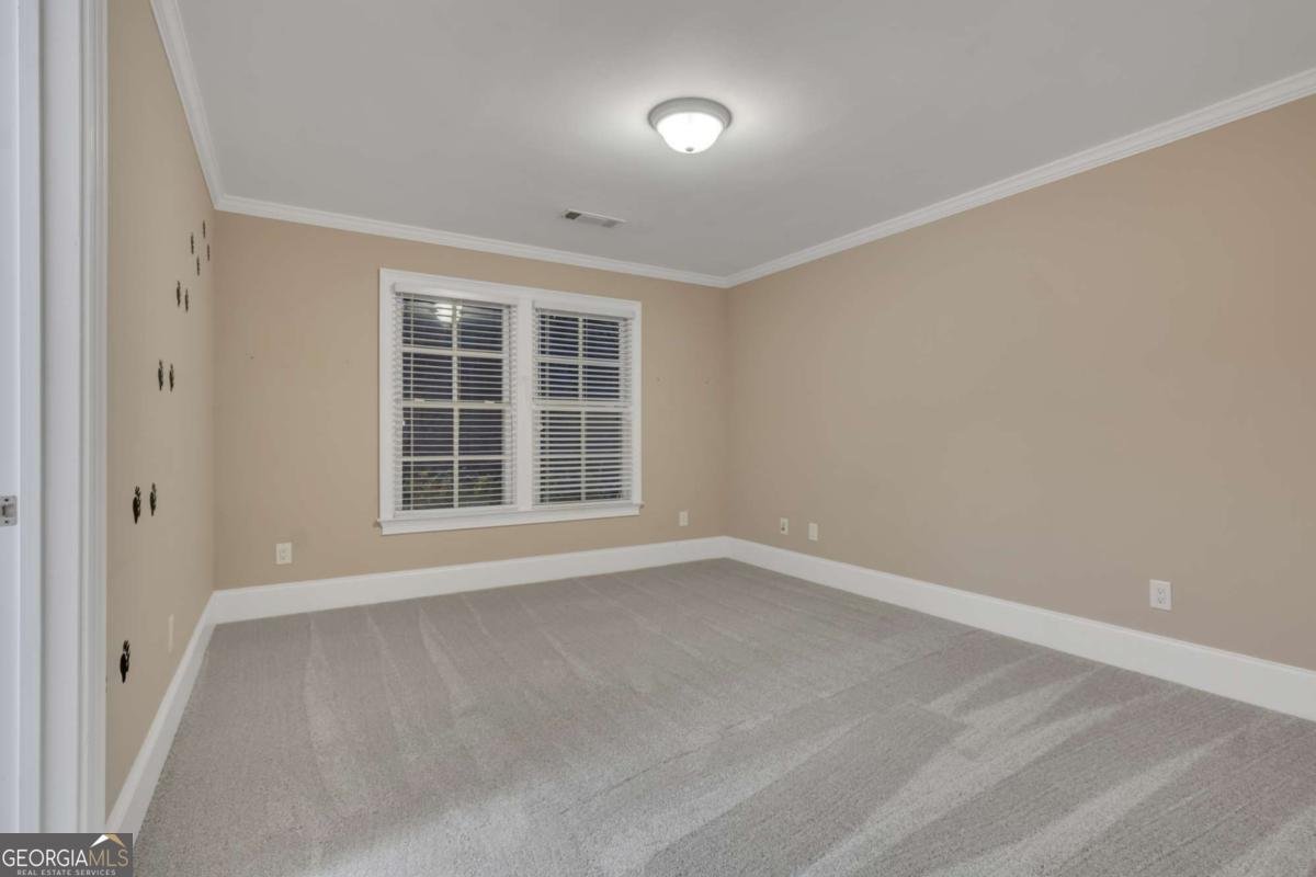 121 Gold Rush Run Dahlonega - Photo 49