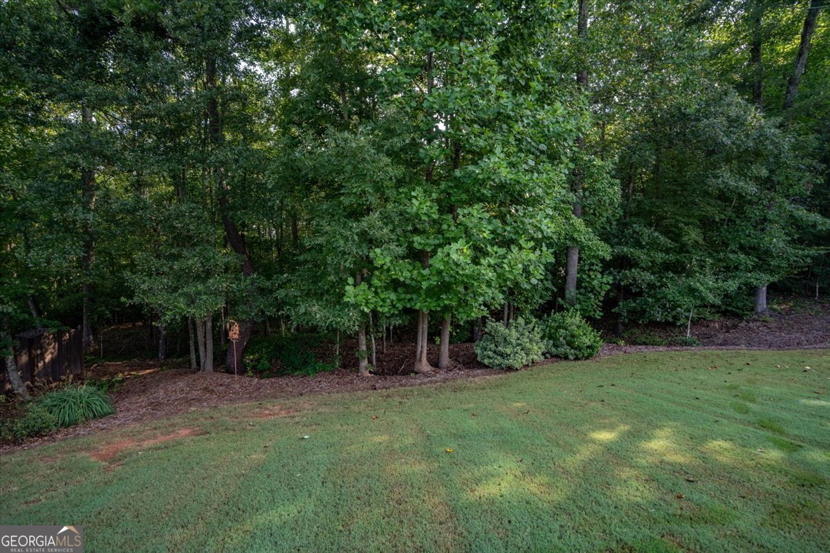 3065 Brooks Trail Monroe - Photo 50