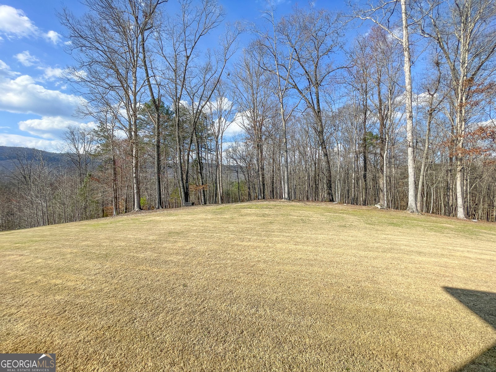 39 Acres on E. Teloga Road Summerville - Photo 34