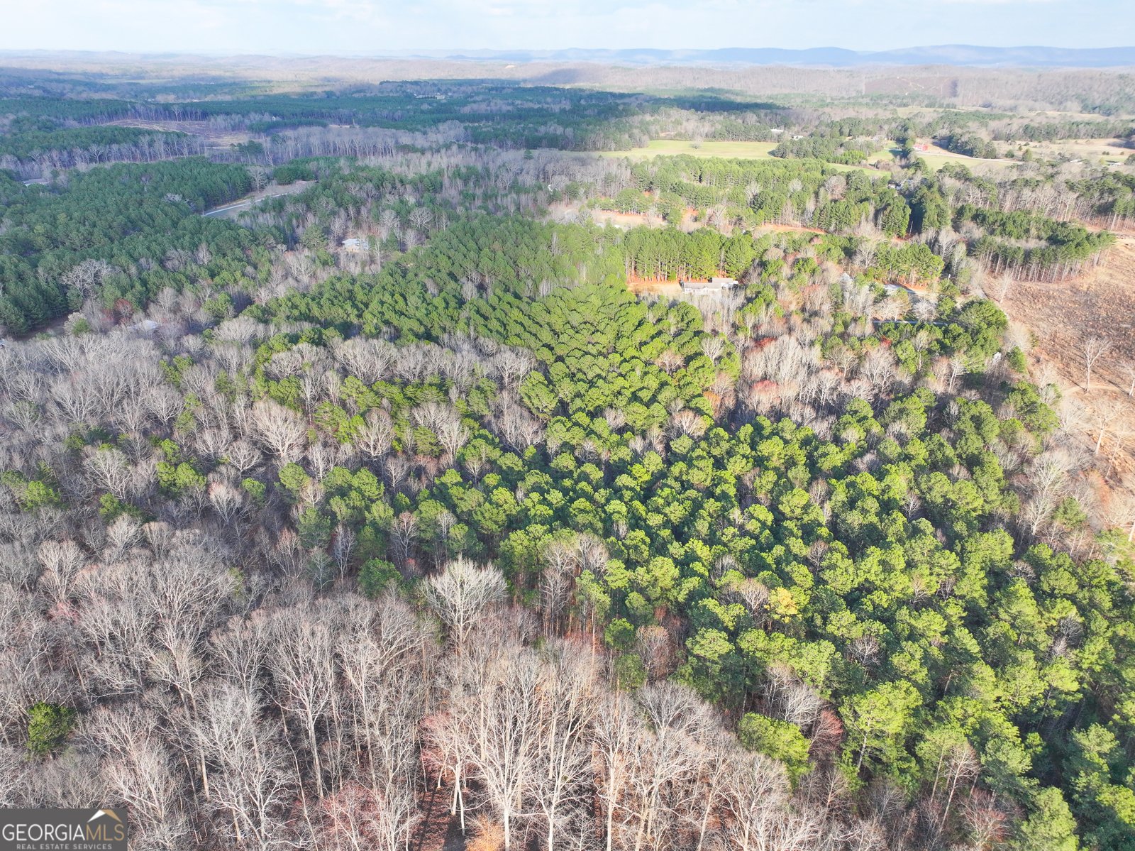 39 Acres on E. Teloga Road Summerville - Photo 36