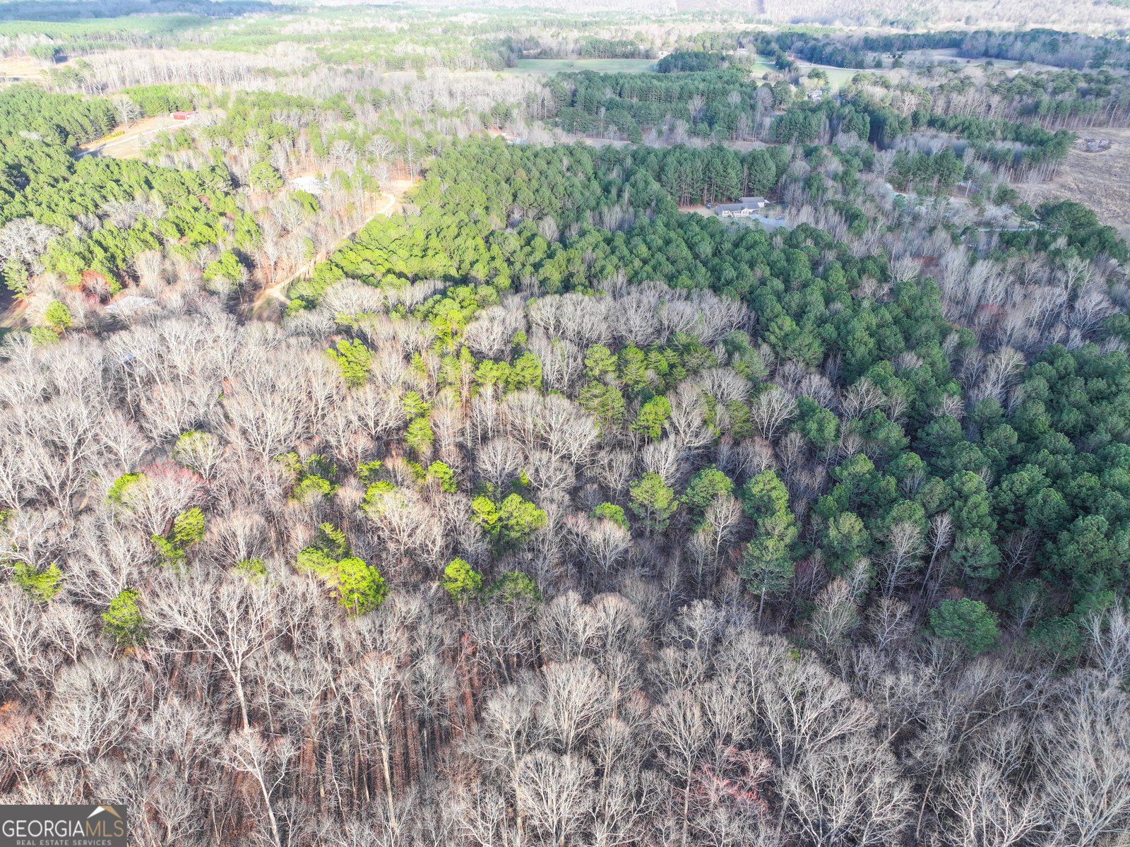 39 Acres on E. Teloga Road Summerville - Photo 40