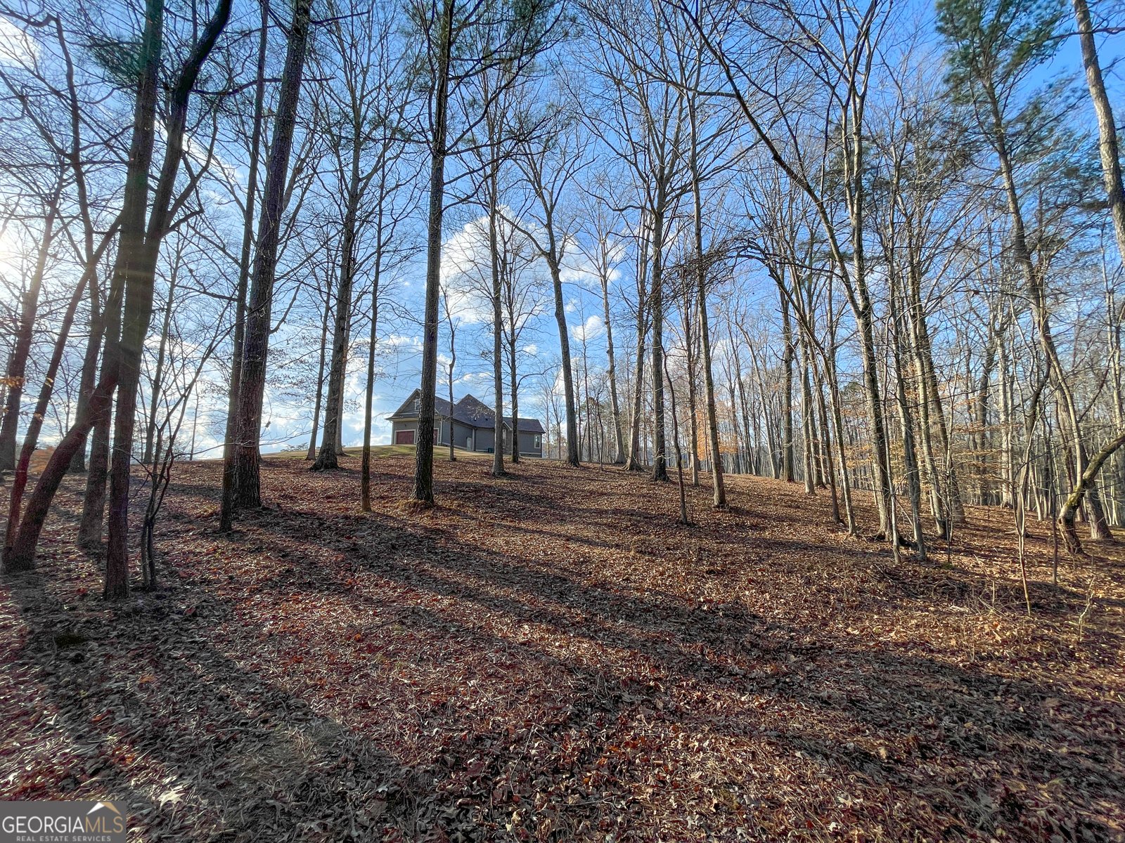 39 Acres on E. Teloga Road Summerville - Photo 41