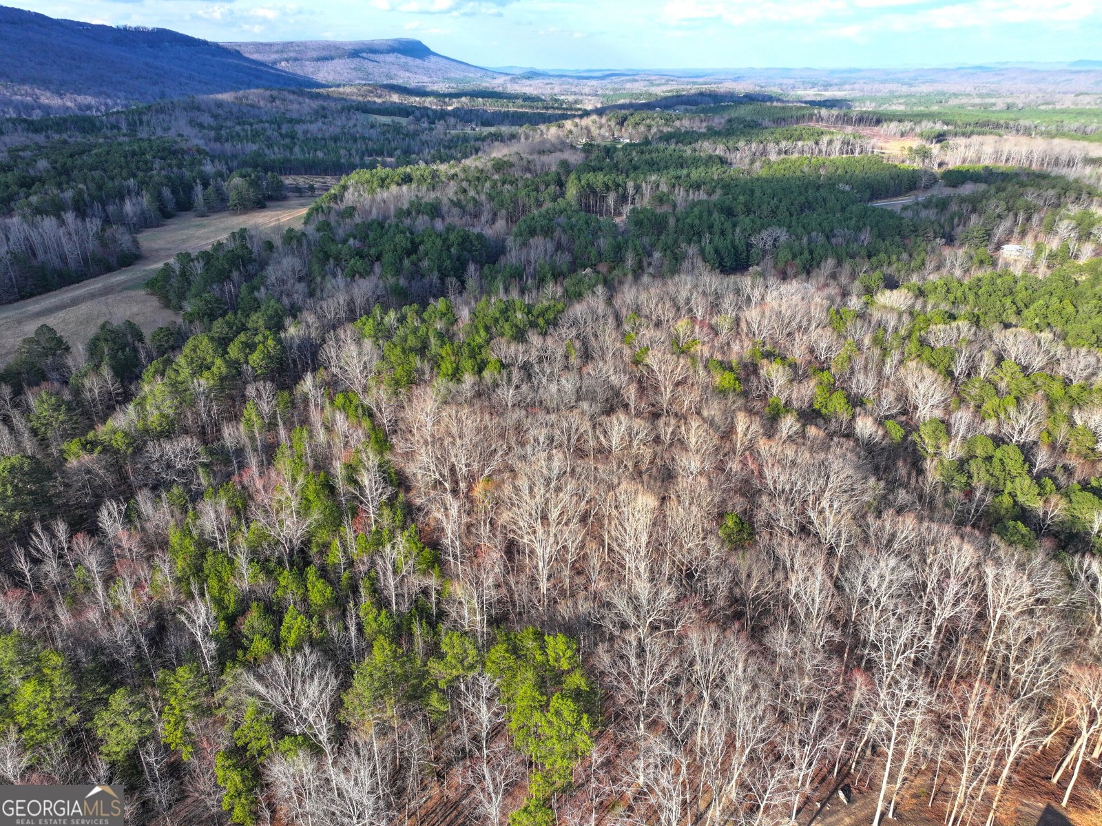 39 Acres on E. Teloga Road Summerville - Photo 44