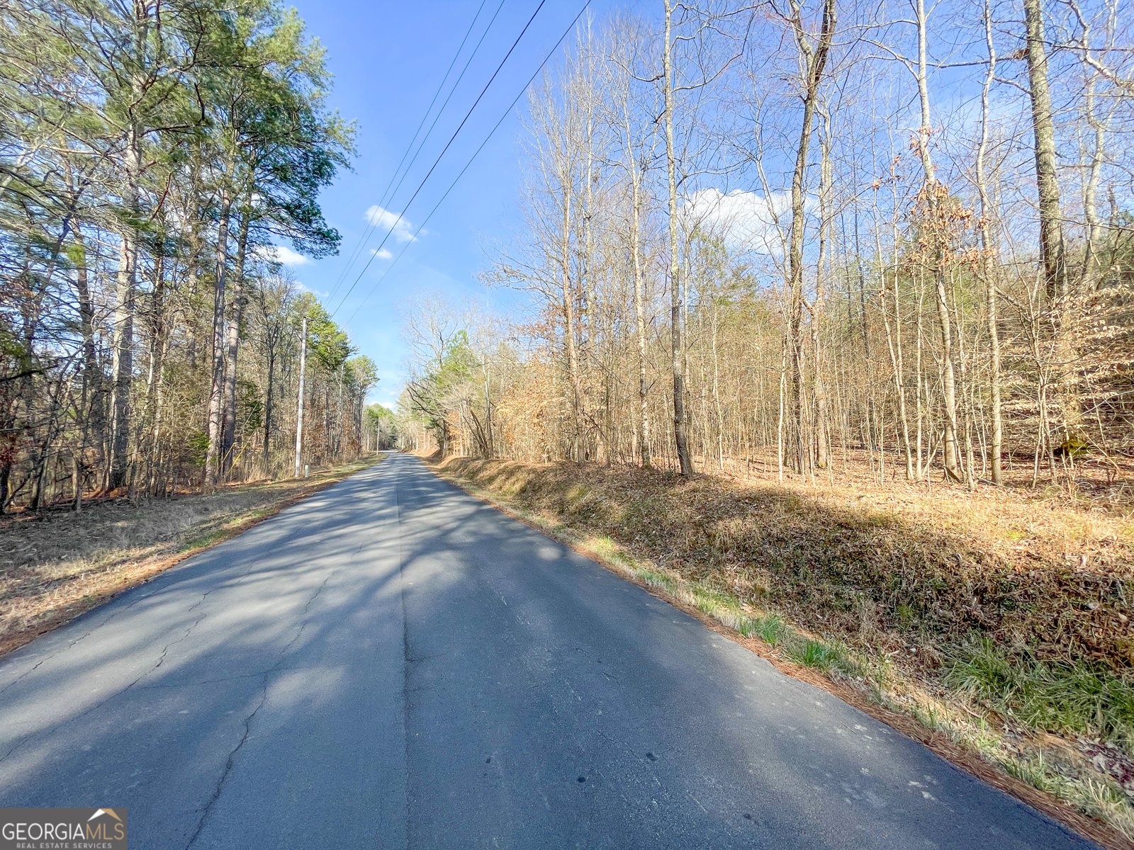39 Acres on E. Teloga Road Summerville - Photo 45