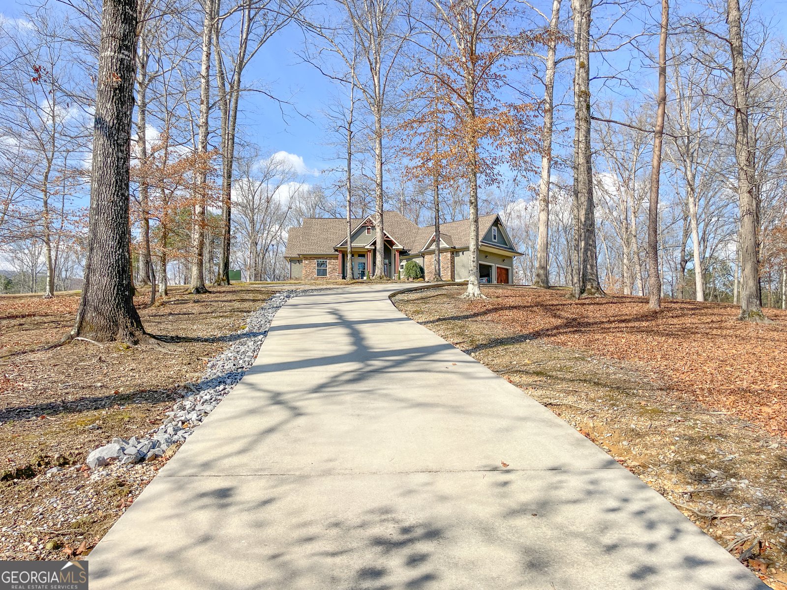 39 Acres on E. Teloga Road Summerville - Photo 47