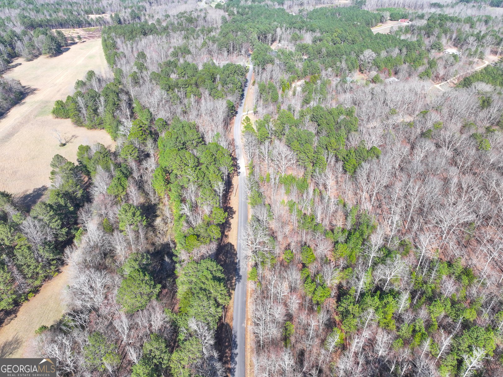 39 Acres on E. Teloga Road Summerville - Photo 48