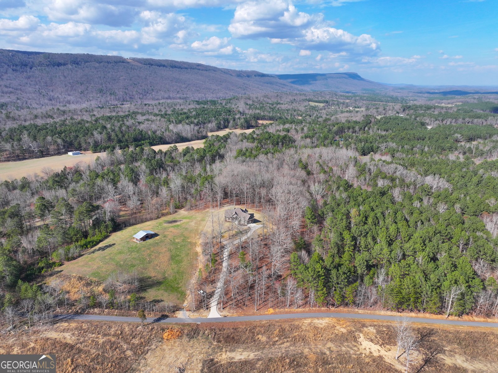 39 Acres on E. Teloga Road Summerville - Photo 7