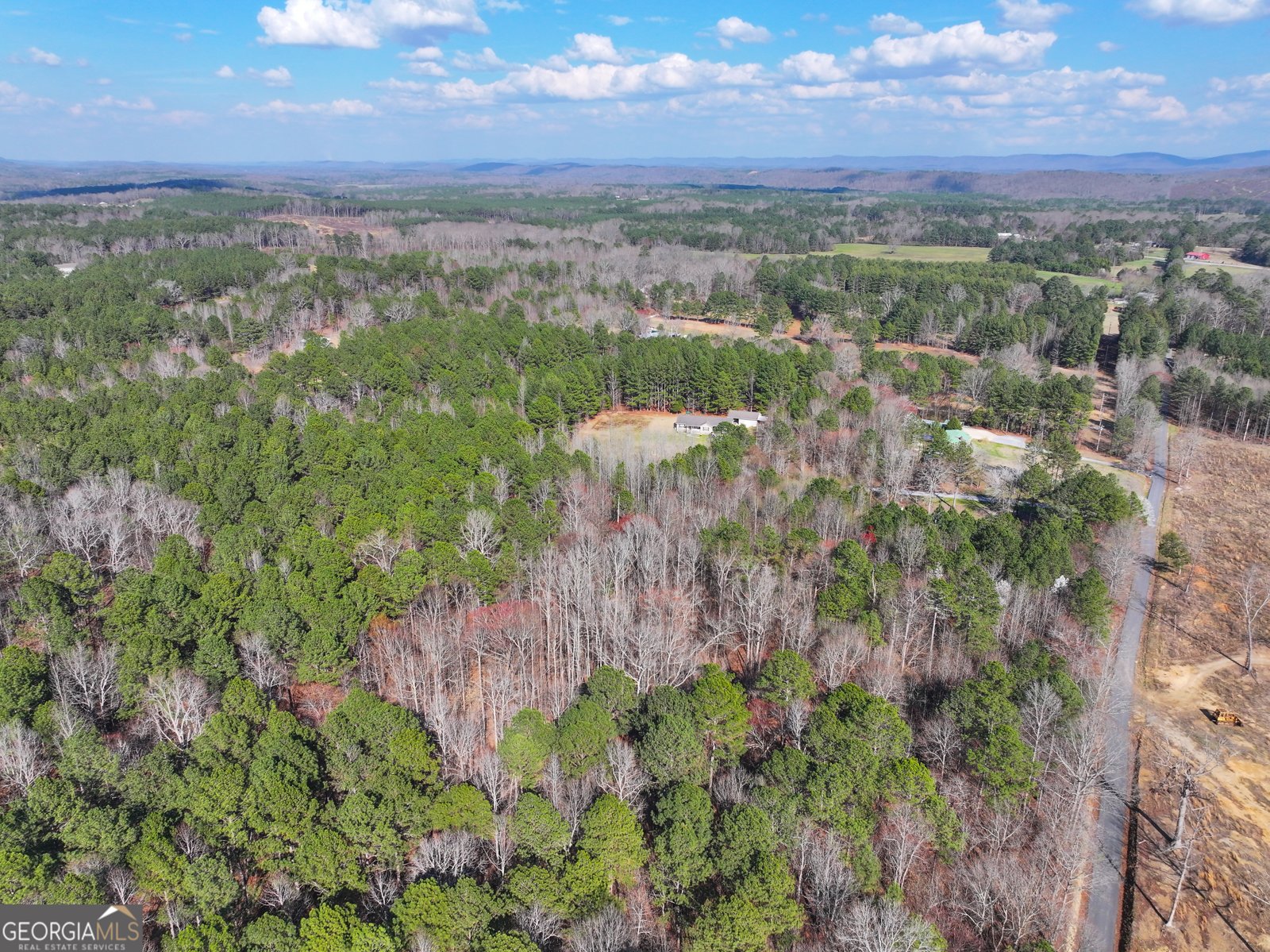 39 Acres on E. Teloga Road Summerville - Photo 9