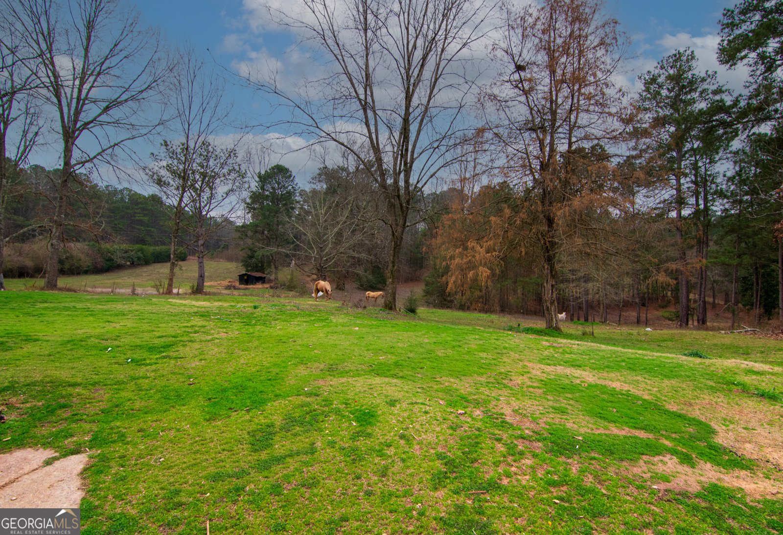17081 Ga Highway 85 Shiloh - Photo 40