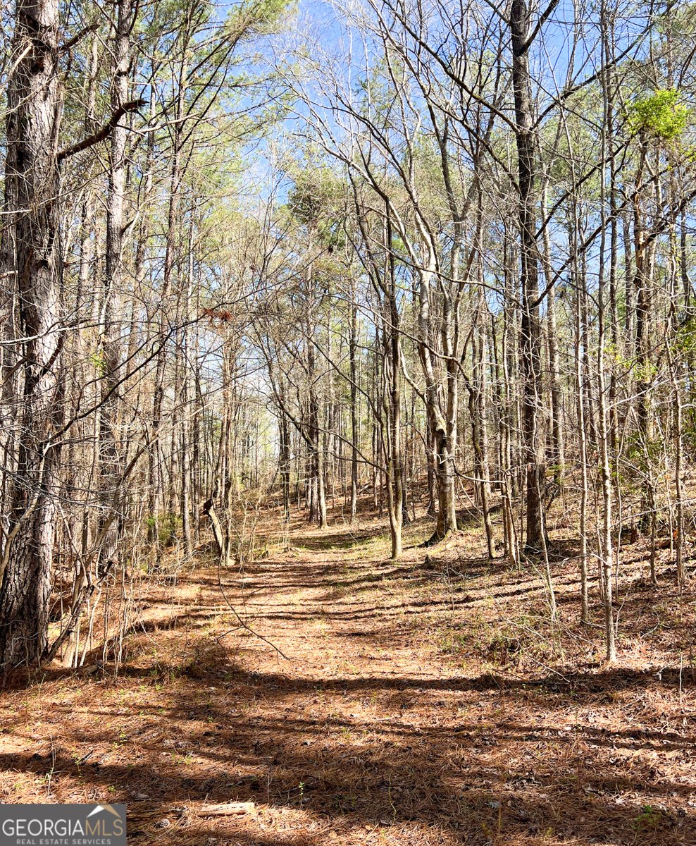 17081 Ga Highway 85 Shiloh - Photo 42