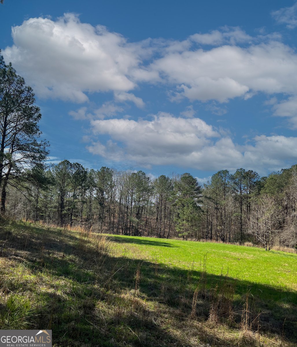 17081 Ga Highway 85 Shiloh - Photo 43