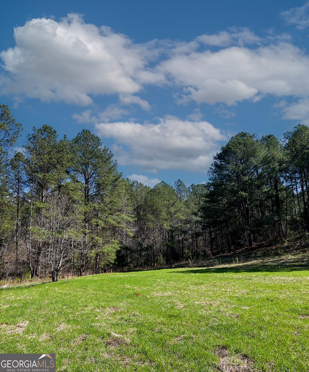 17081 Ga Highway 85 Shiloh - Photo 44