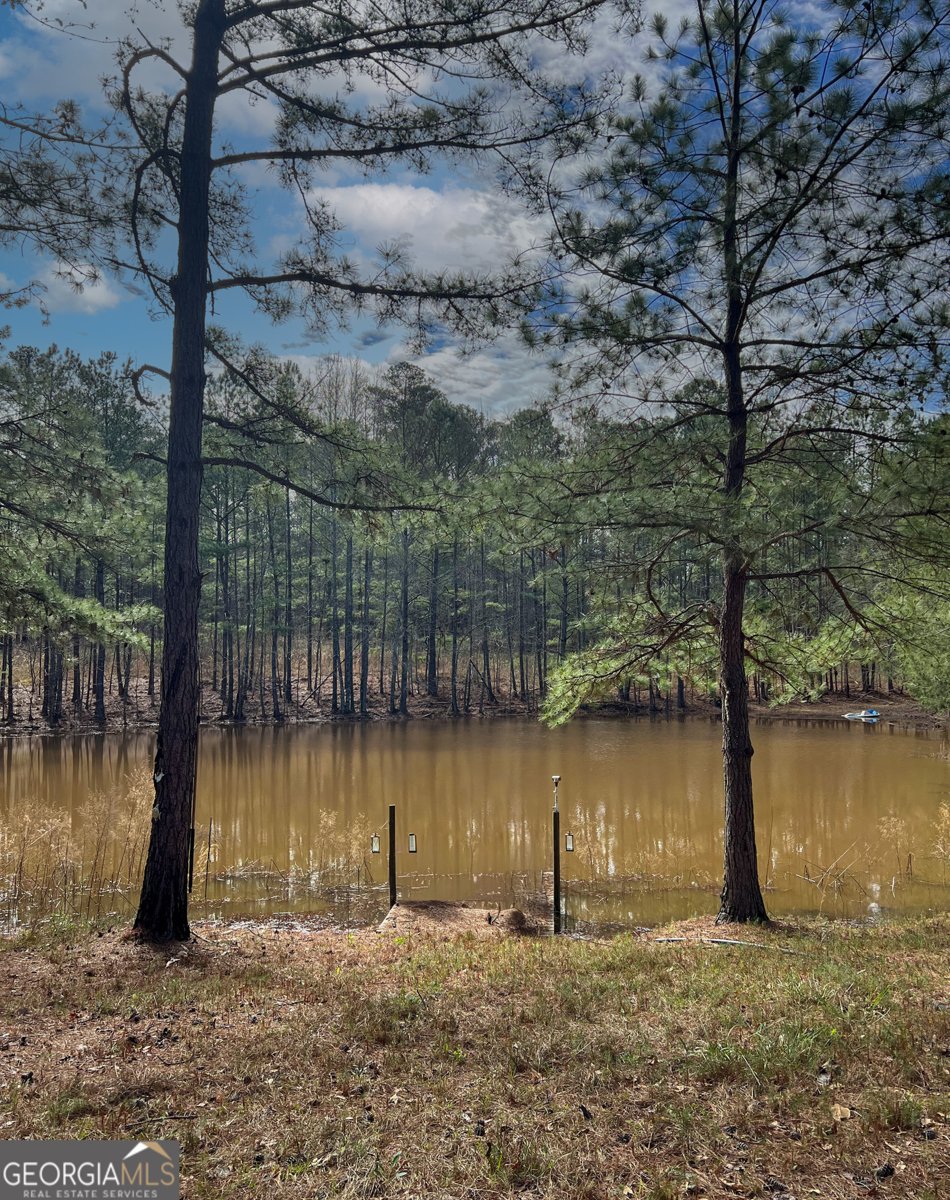 17081 Ga Highway 85 Shiloh - Photo 45