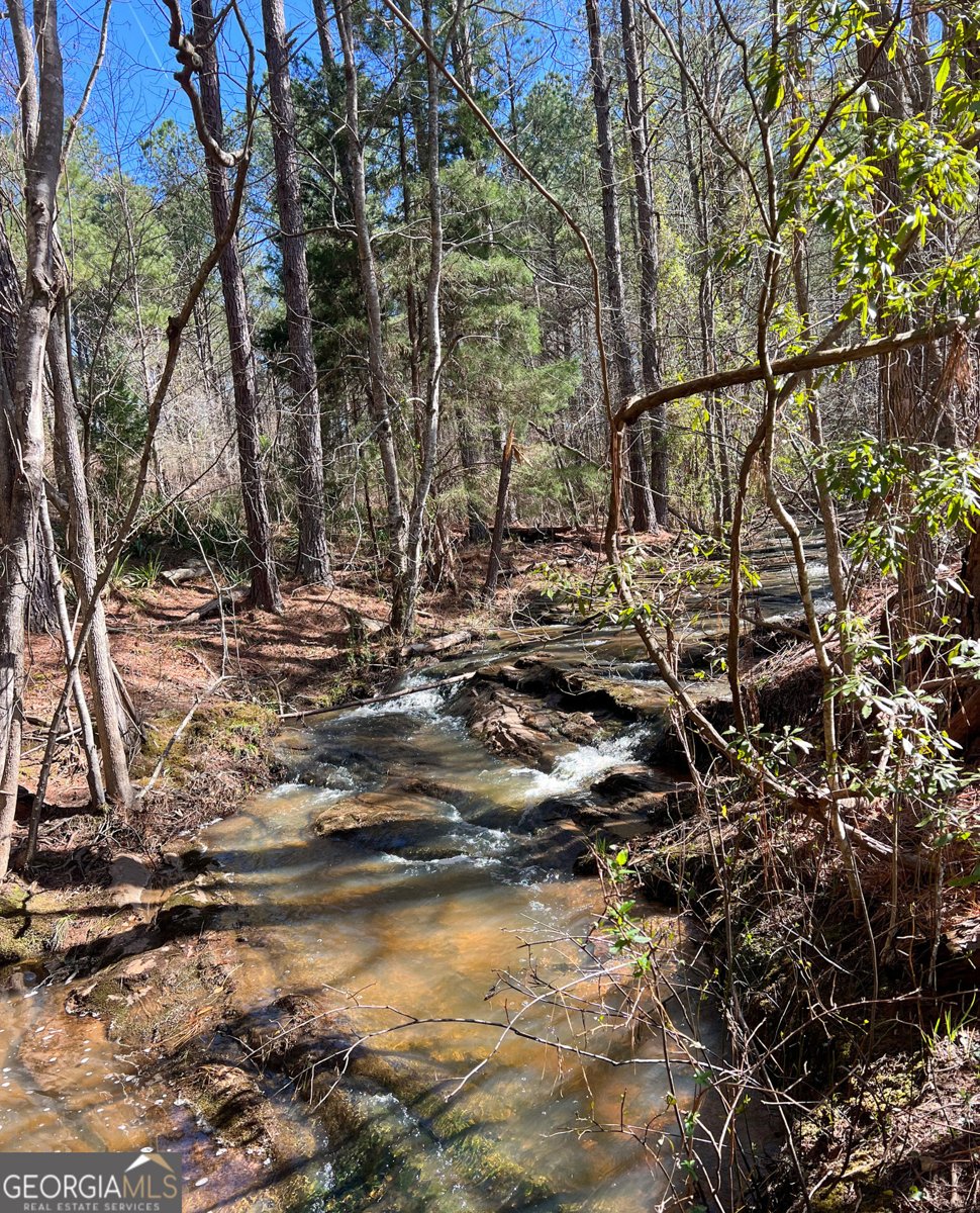 17081 Ga Highway 85 Shiloh - Photo 46