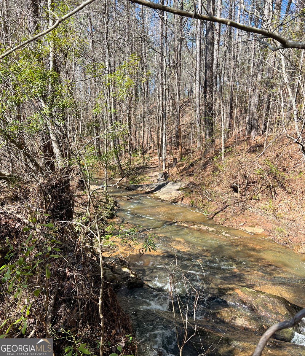 17081 Ga Highway 85 Shiloh - Photo 47