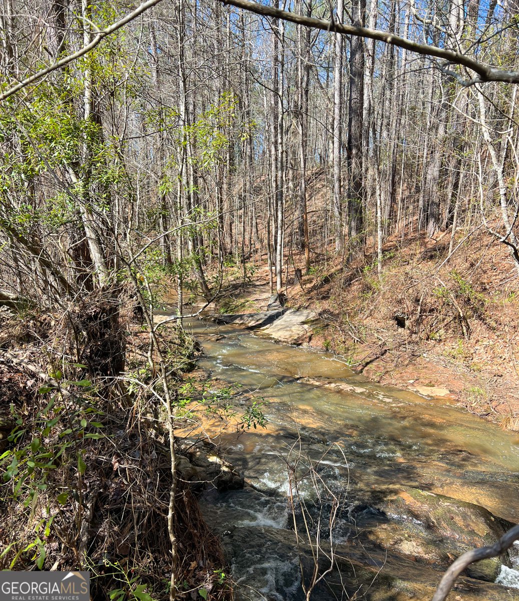 17081 Ga Highway 85 Shiloh - Photo 48