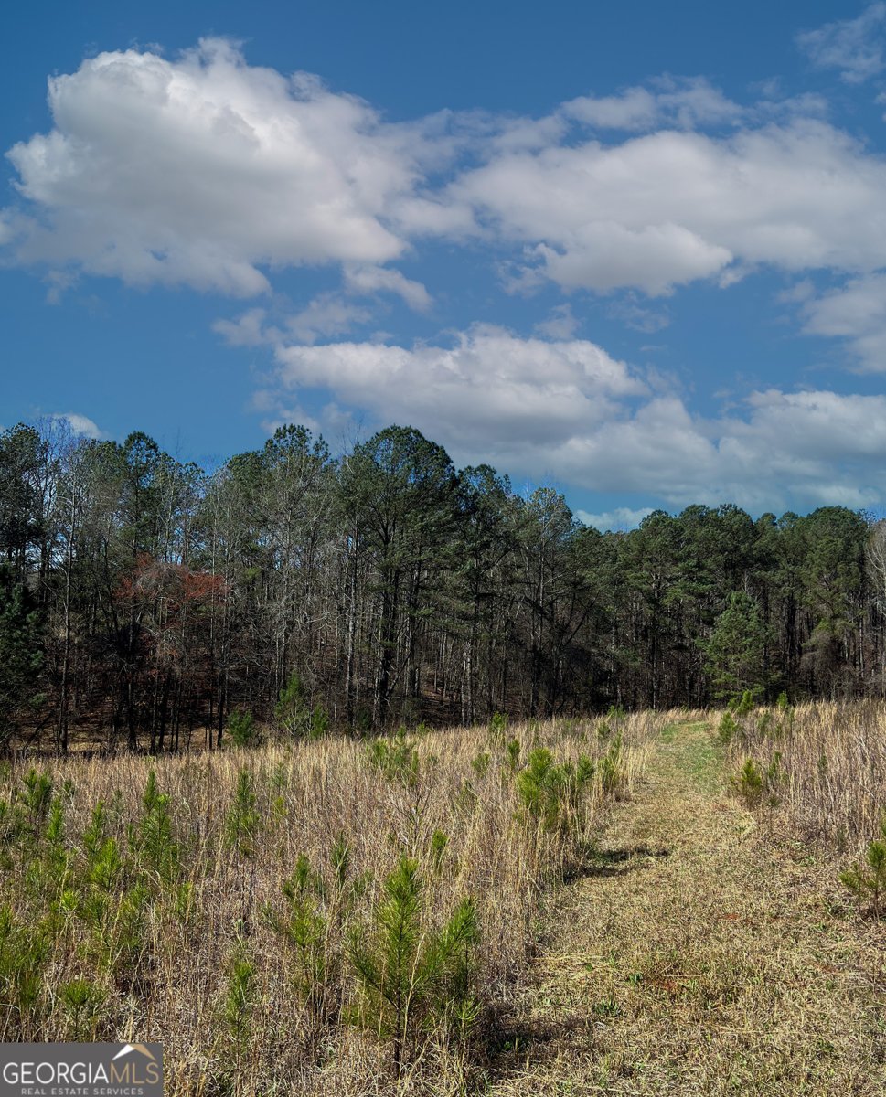 17081 Ga Highway 85 Shiloh - Photo 49