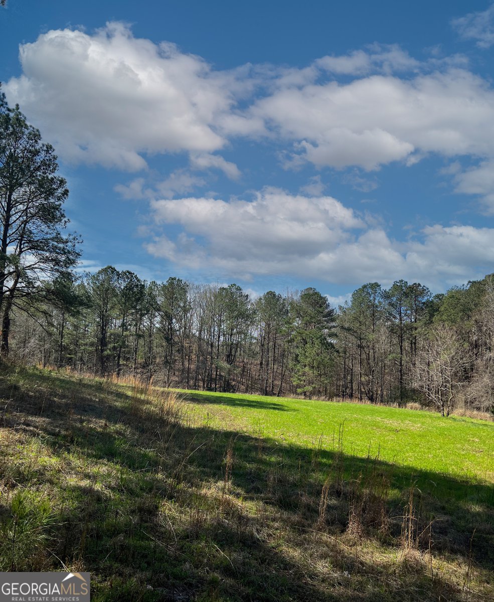 17081 Ga Highway 85 Shiloh - Photo 50