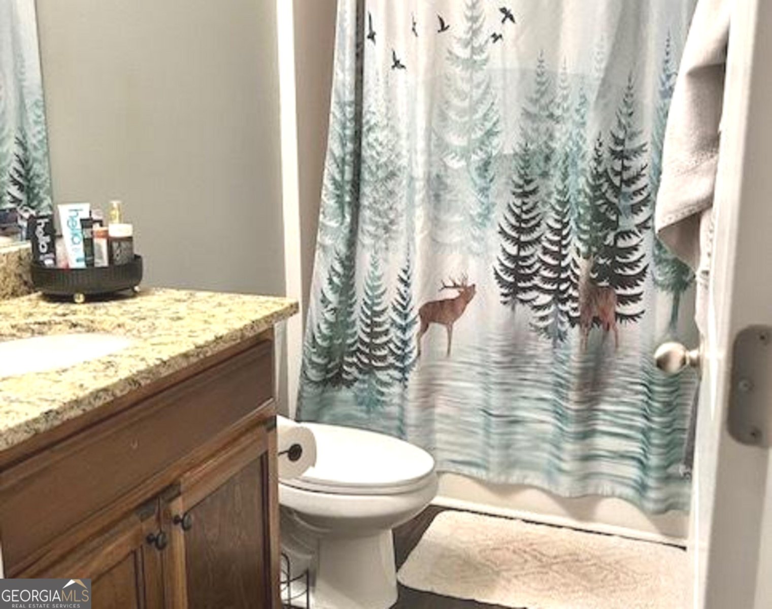 5710 Rocky Ridge Run Gainesville - Photo 11