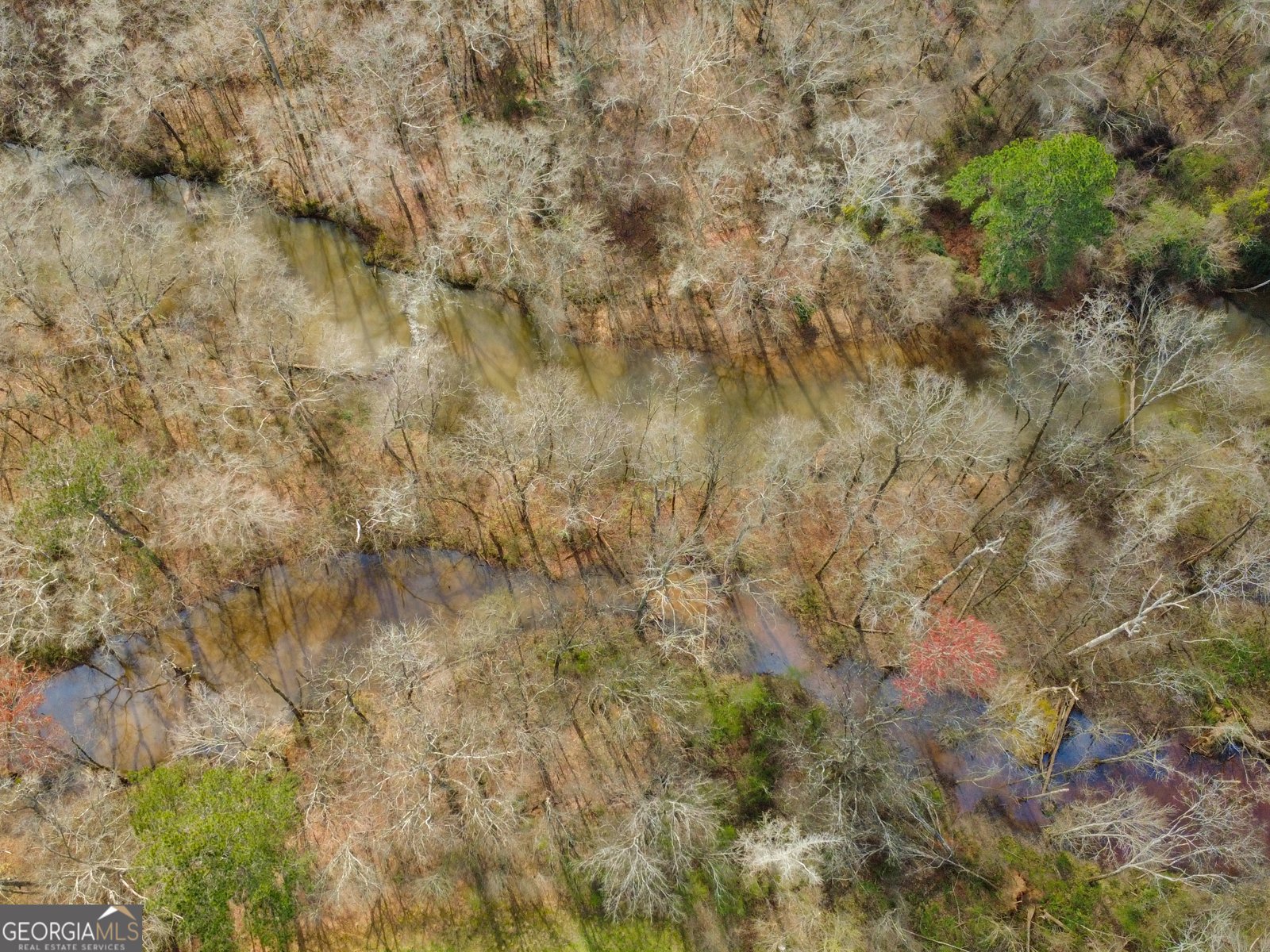 138 Lewis Road Jackson - Photo 10