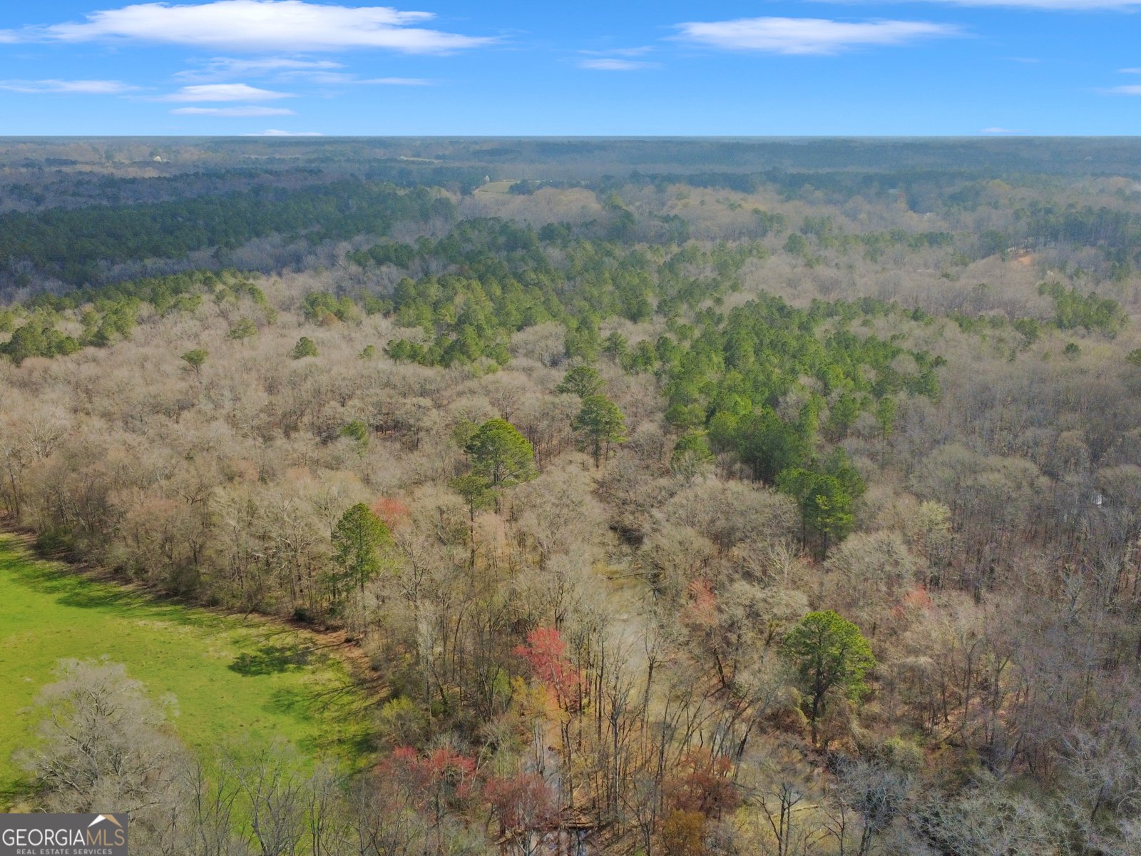 138 Lewis Road Jackson - Photo 12