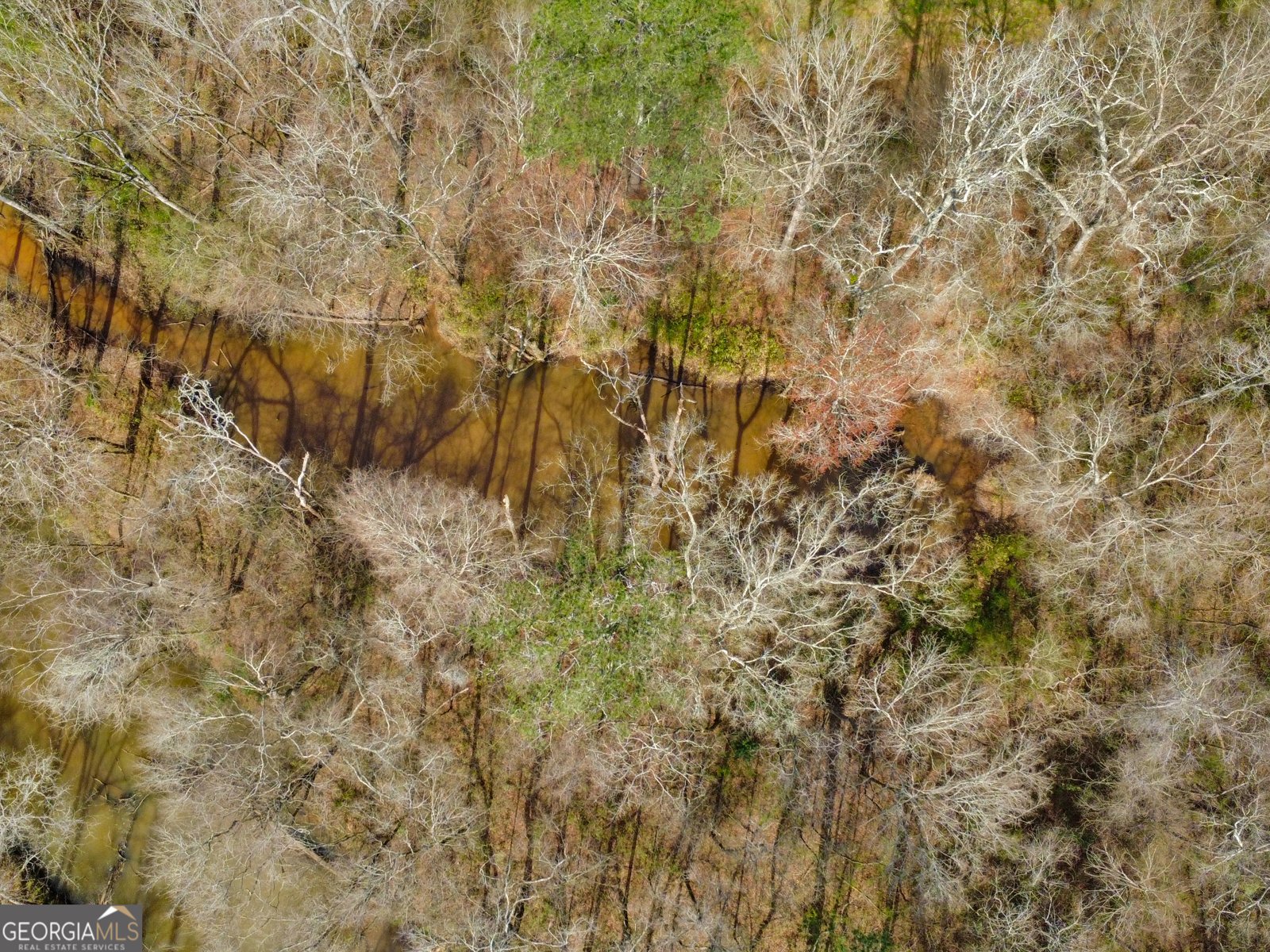 138 Lewis Road Jackson - Photo 7